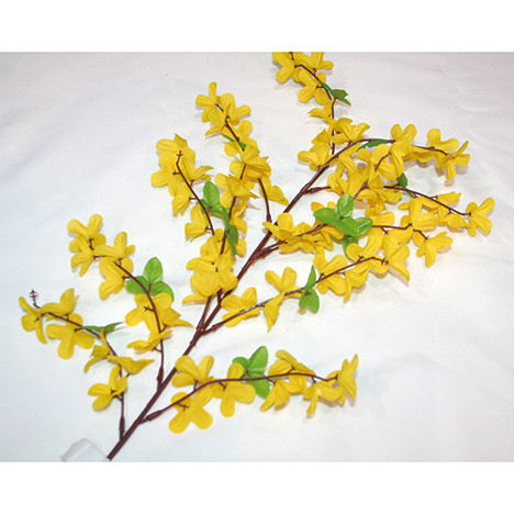 Forsythien Strauch mit 72 Köpfen, 65cm