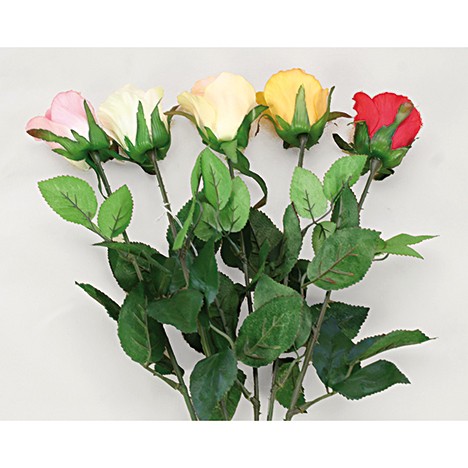 Rose geschlossene Blüte 68cm extralang 5 Farben