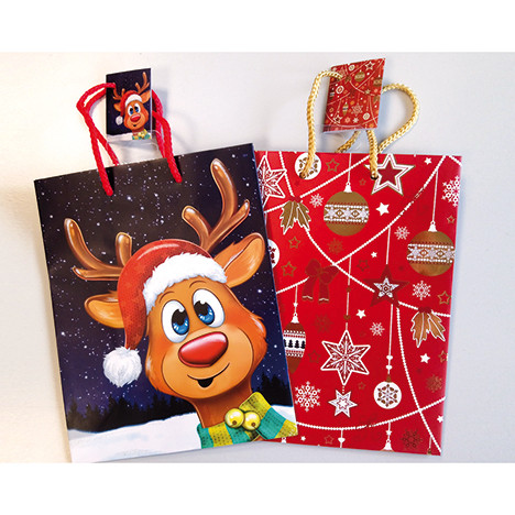 Gift bag 'Eddy the elk' 32x18cm