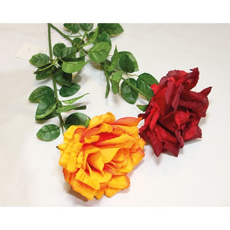 Riesenrose Kopfdurchmesser 13cm, 75cm lang