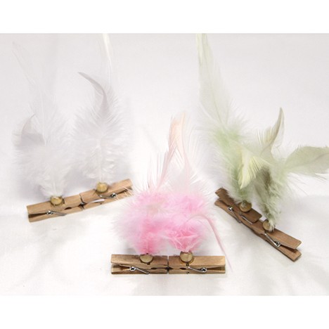 Featherornament on wooden clip 12x4cm set of 2!