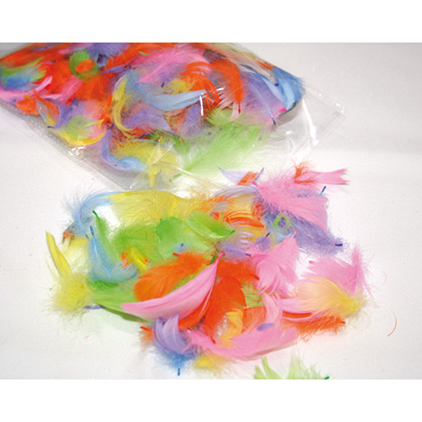 Natural feathers colourful design, mixed col.