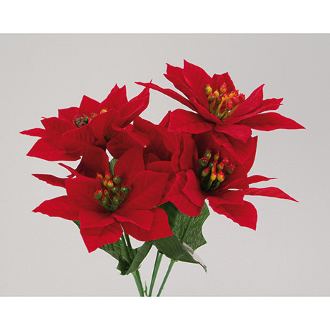 Weihnachtsstern-Strauß SAMT! rot 30x20cm