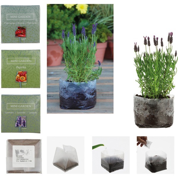 Garden Growing Set Flowers and Vegetables