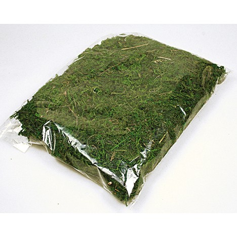 Deco Moss 25g Bag Size 21x17x4cm