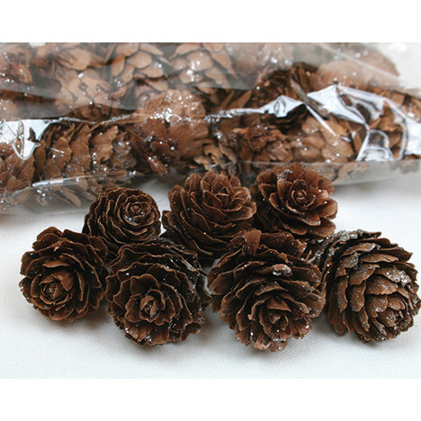 Kiefernzapfen 70g ca. 40-50 Stück, 70g