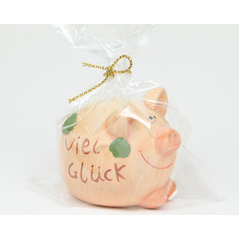 Glücksbringer Schwein 'Viel Glück!' 7x5cm