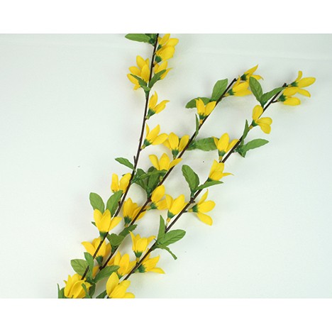 Forsythia 70cm with 34 flowers and 15 leaves