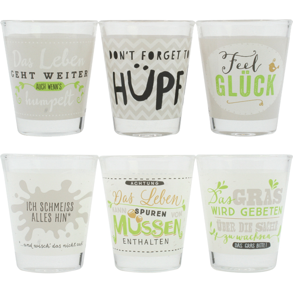 Schnapsglas 6cl mit lustigem Spruch 4fach sort. Haushalt