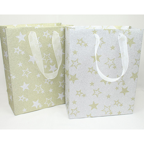 Gift bag stars 23x18cm gold/silver
